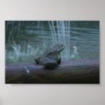 By the pond posters