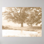 By the pond poster