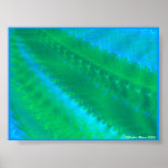 By the Pond Posters