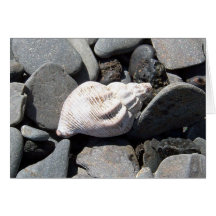 By The Seashore Greeting Card