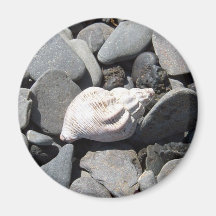 By The Seashore Magnet
