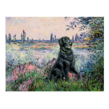 By the Seine - Flat Coated Retriever Postcard