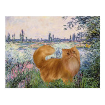 By the Seine - Red Persian cat Post Card