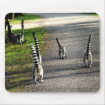Bye Bye Lemurs mousepads