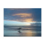 Byron Beauty Post Cards