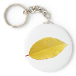 BZH22-1010-12 keychains
