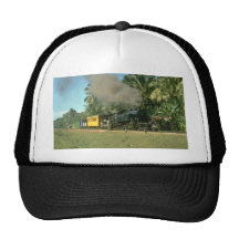 C3093 ambles through the palms with a mixed train hats