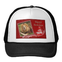 c-2011-african-lion-029 mesh hats