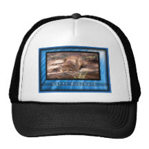 c-2011-cougar-014 hats