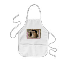 c-2011-cougar-041 aprons