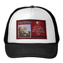 c-2011-jaguar-015 mesh hats