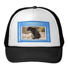 c-2011-jaguar-039 hats