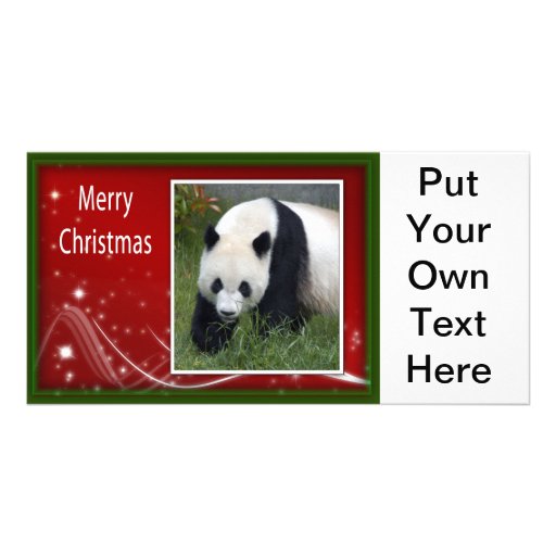c-2011-panda-0044 customised photo card