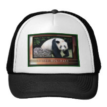 c-2011-panda-0050 mesh hats