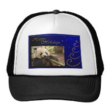 c-2011-panda-0052 mesh hats