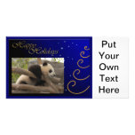 c-2011-panda-0053 picture card