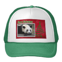 c-2011-panda-0059 hats