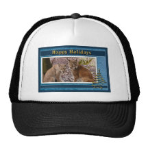 c-2011-siberian-lynx-047 hat