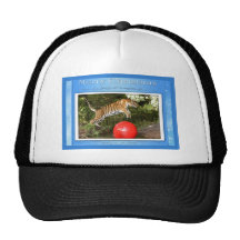 c-2011-tiger-004 hats