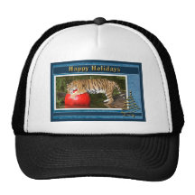 c-2011-tiger-005 hats
