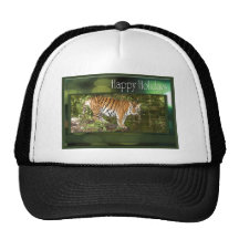 c-2011-tiger-010 hats