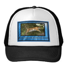 c-2011-tiger-014 trucker hat