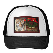 c-2011-tiger-038 hat