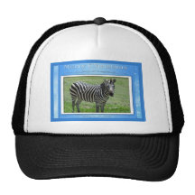 c-2011-zebra-012 hats