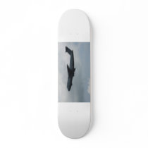 C-5 Galaxy Skate Board