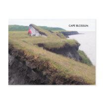 C B PIC (2), CAPE BLOSSUM POSTCARD
