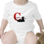 C is for Coot