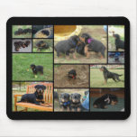 C Litter puppy collage mousepads