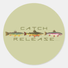 C & R - Trout Sticker