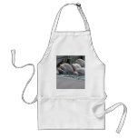 CA81WX4Z aprons
