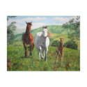 caballos postcards