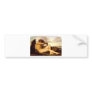 Cabanel  Alexandre  Fallen  Angel Bumper Sticker