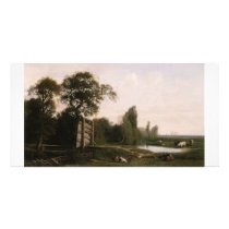 Cabat Nicolas At The Watering Hole Customized Photo Card
