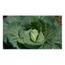 Cabbage Business Card Templates