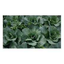 Cabbage Business Cards