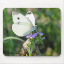 Cabbage Butterfly mousepads
