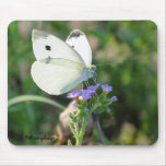 Cabbage Butterfly mousepads