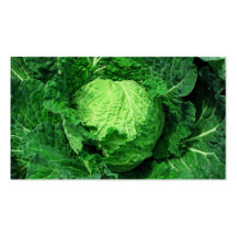 Cabbage Farm & Market Business Card Templates