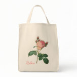 Cabbage Rose