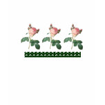 Cabbage Rose Botanical Print t-shirts