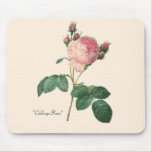 "Cabbage Rose" mousepads