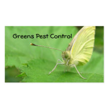 Cabbage White ~ Biz card Business Card Templates