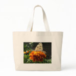 Cabbage white butterfly on a marigold