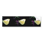 Cabbage White butterfly on Rough blazingstar bumper stickers