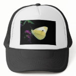 Cabbage White butterfly on Rough blazingstar hats