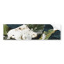 Cabecou Feuille Cheese Wrapped In Chestnut Leaves Bumper Stickers